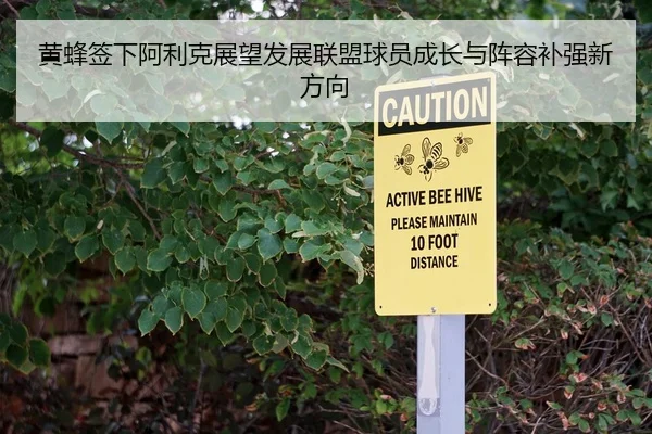 黄蜂签下阿利克展望发展联盟球员成长与阵容补强新方向